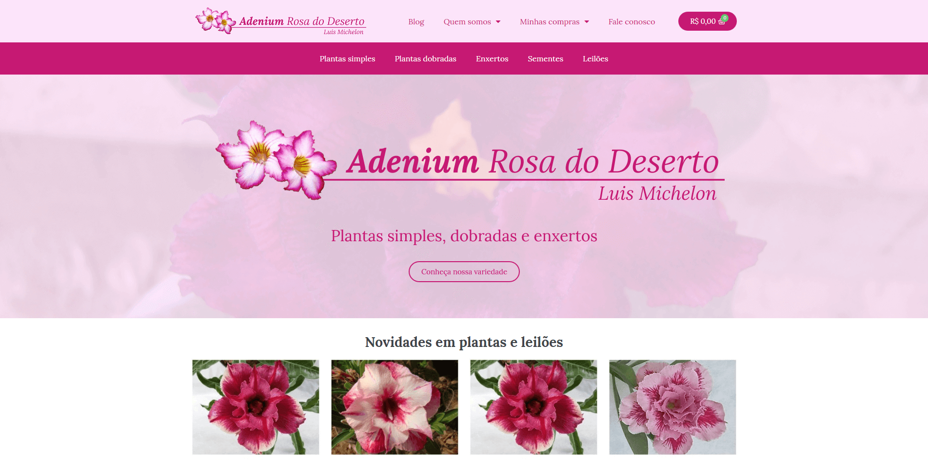 Read more about the article Adenium Rosa do Deserto